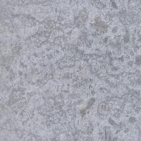 Светло серый (Light Grey) / N