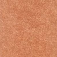 Оранжевый (Orange) / PL