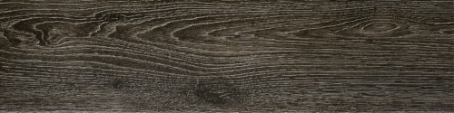 15 MP 0018
